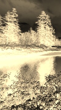 Sepia + Negatyw