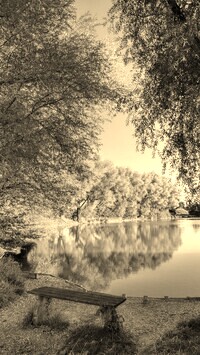 Szary + Sepia
