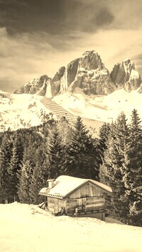 Szary + Sepia