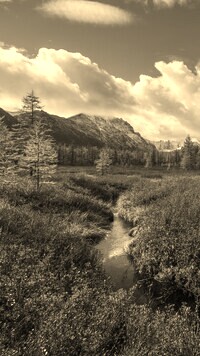Szary + Sepia