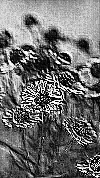 Skamielina