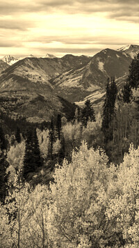 Sepia
