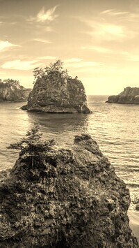 Szary + Sepia