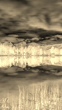 Sepia + Negatyw