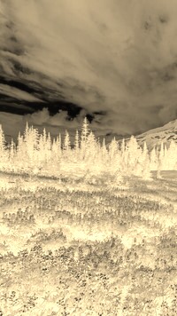 Sepia + Negatyw