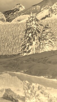 Sepia + Negatyw