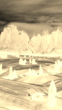 Sepia + Negatyw
