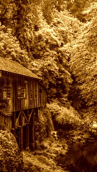 Sepia