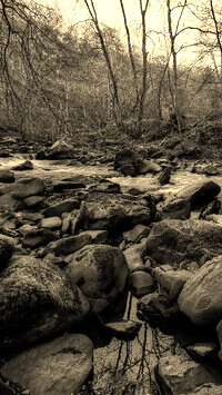 Sepia