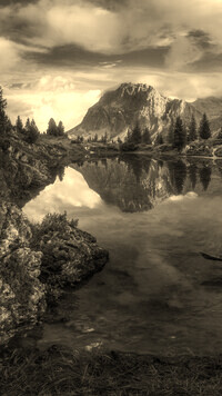Szary + Sepia