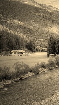 Szary + Sepia