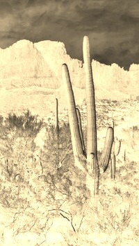 Sepia + Negatyw