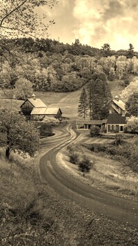 Szary + Sepia