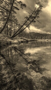 Sepia