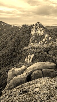 Sepia