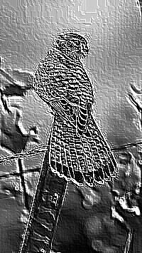 Skamielina