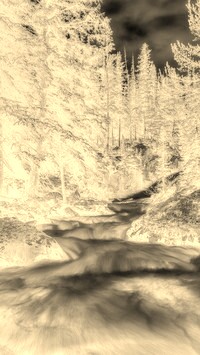 Sepia + Negatyw