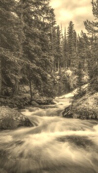 Sepia