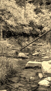 Sepia