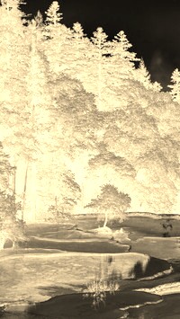 Sepia + Negatyw
