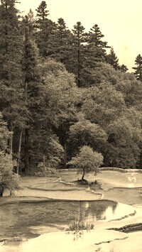 Szary + Sepia