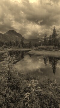 Sepia