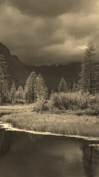 Szary + Sepia
