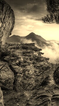 Szary + Sepia
