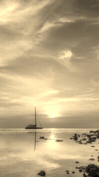 Sepia