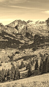 Szary + Sepia