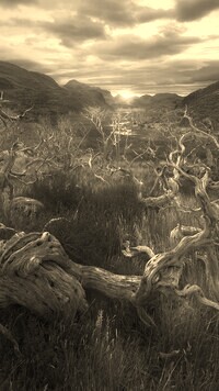 Sepia