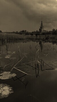 Szary + Sepia