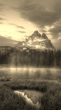 Szary + Sepia