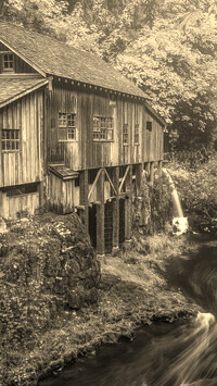 Sepia