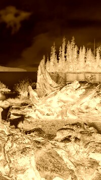 Sepia + Negatyw