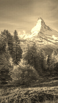 Szary + Sepia