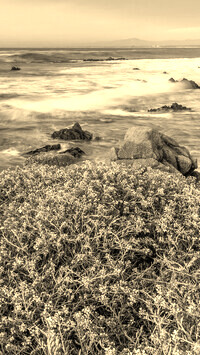 Szary + Sepia