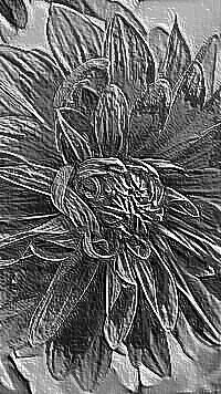 Skamielina