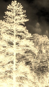 Sepia + Negatyw