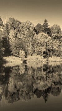 Sepia