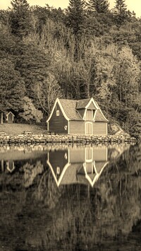 Sepia
