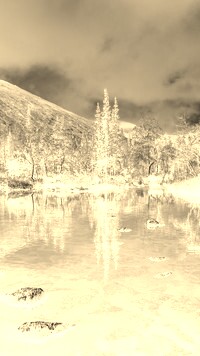 Sepia + Negatyw