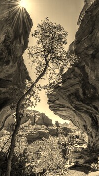Sepia