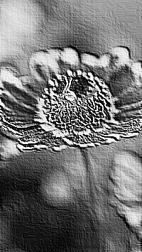 Skamielina