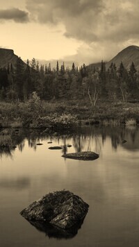 Sepia
