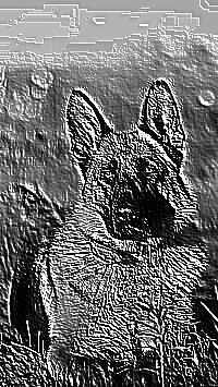 Skamielina