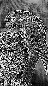 Skamielina