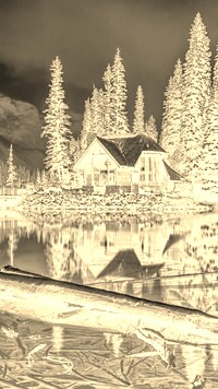 Sepia + Negatyw