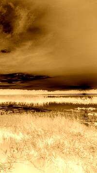 Sepia + Negatyw