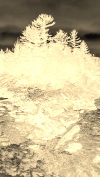 Sepia + Negatyw